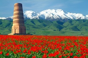 <p><b>International Travel ID будуць выдаваць усім турыстам, якія наведваюць Кыргызстан</b><p>